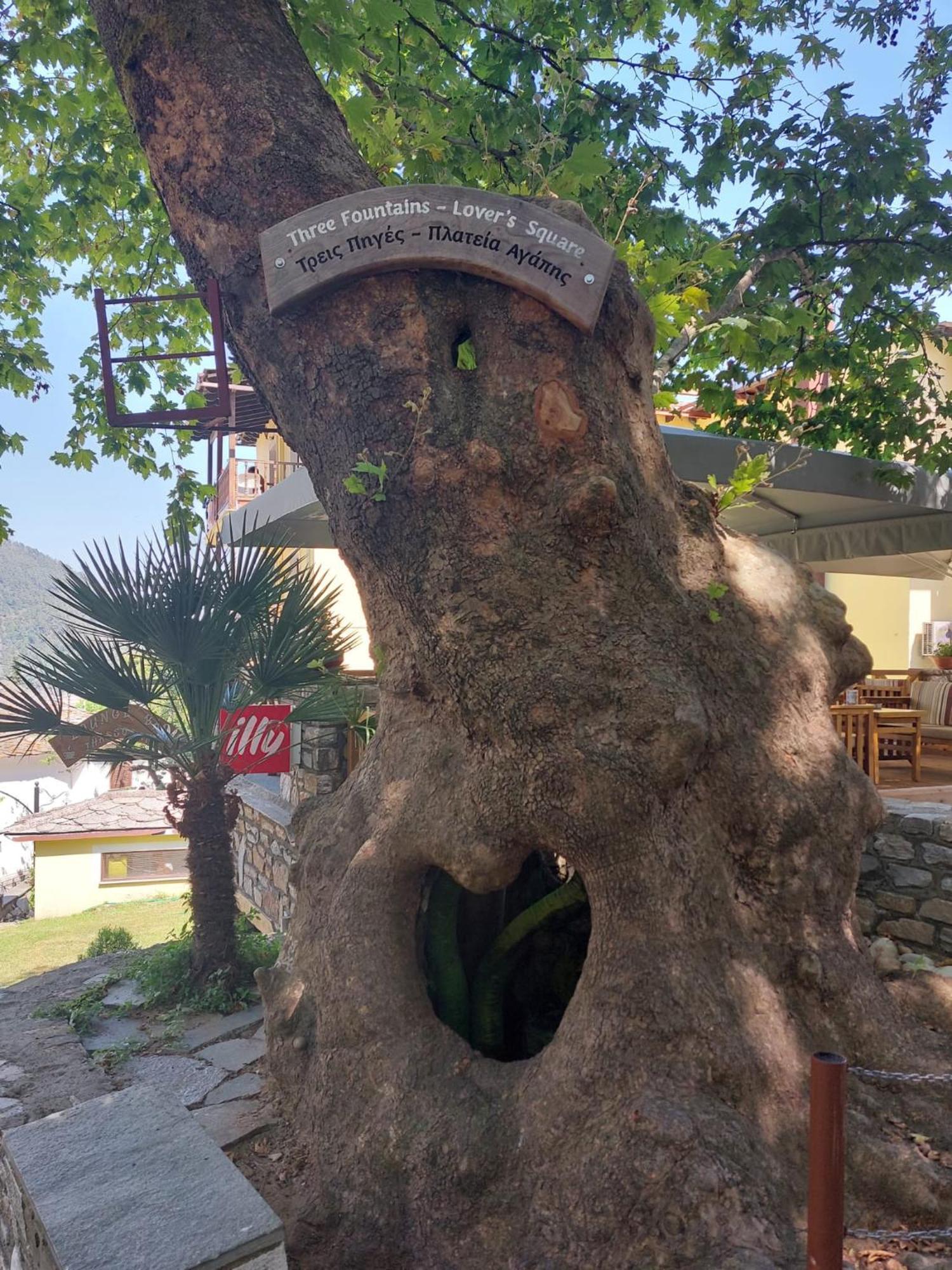 Amaya Pine Studio Panagia  Bagian luar foto